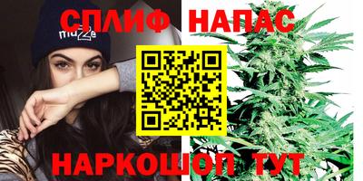 mdpv Новокубанск