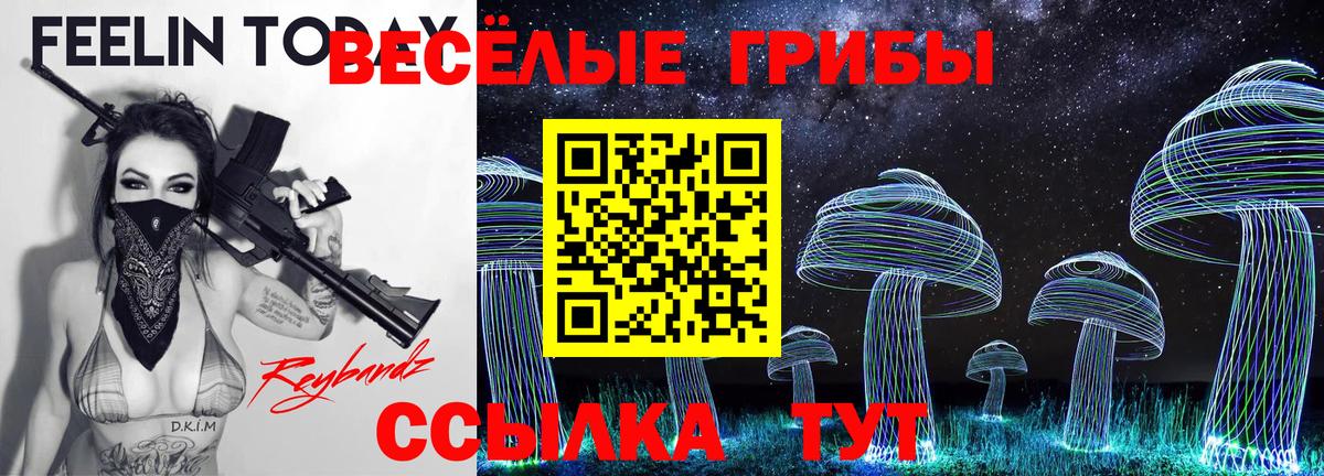 Псилоцибиновые грибы GOLDEN TEACHER Старая Купавна