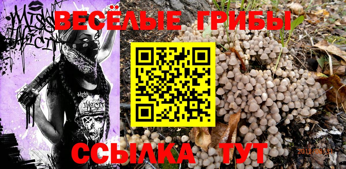 Старая Купавна  цена   Псилоцибиновые грибы MAGIC MUSHROOMS  Вход с VPN  Галлюциногенные грибы GOLDEN TEACHER 